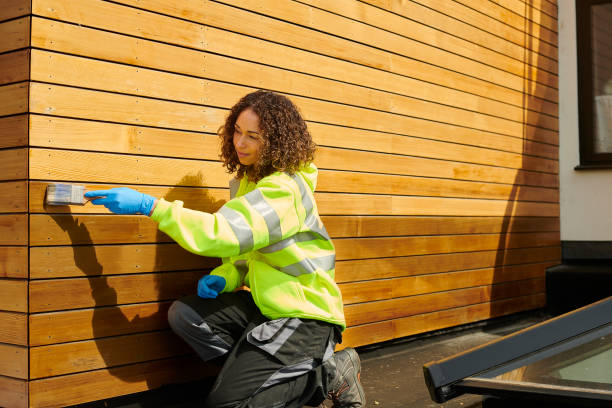 Best Steel Siding Installation  in Gassville, AR
